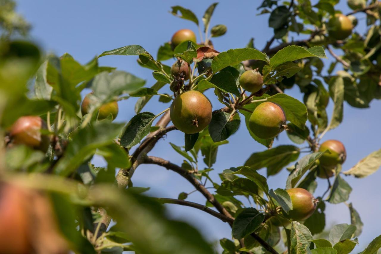 De Notenboom Meliskerke Ngoại thất bức ảnh